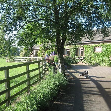 Bed and Breakfast Ladderstile Retreat Congleton Exterior foto